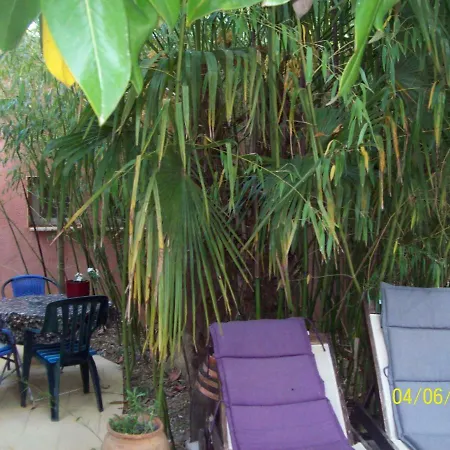 Le Magnolia Penzion *