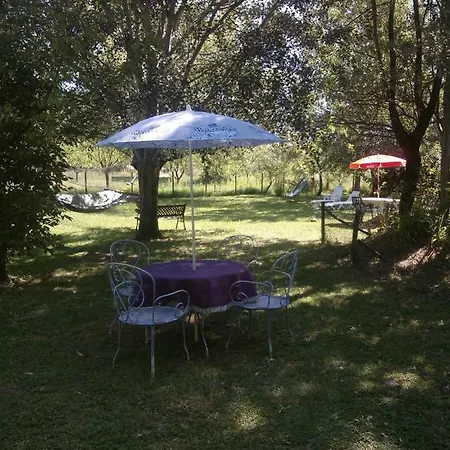 Le Magnolia *