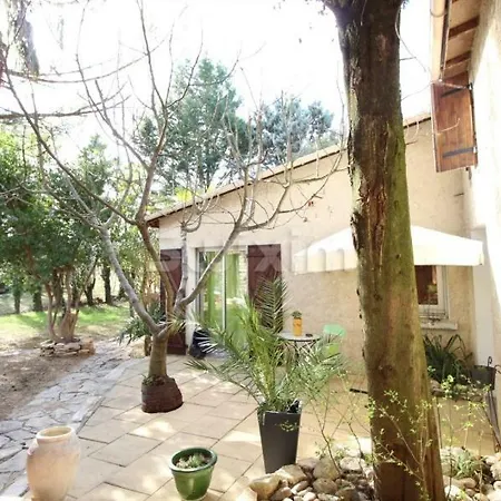 Le Magnolia